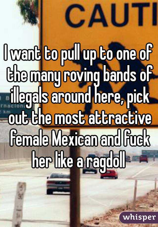 I want to pull up to one of the many roving bands of illegals around here, pick out the most attractive female Mexican and fuck her like a ragdoll 