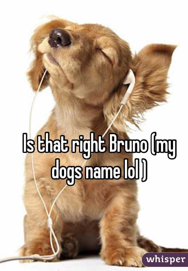 Is that right Bruno (my dogs name lol )