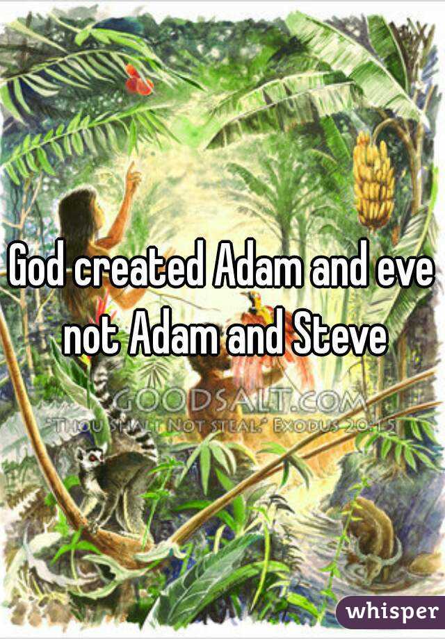 God created Adam and eve not Adam and Steve