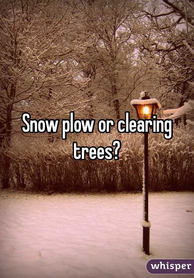 Snow plow or clearing trees?