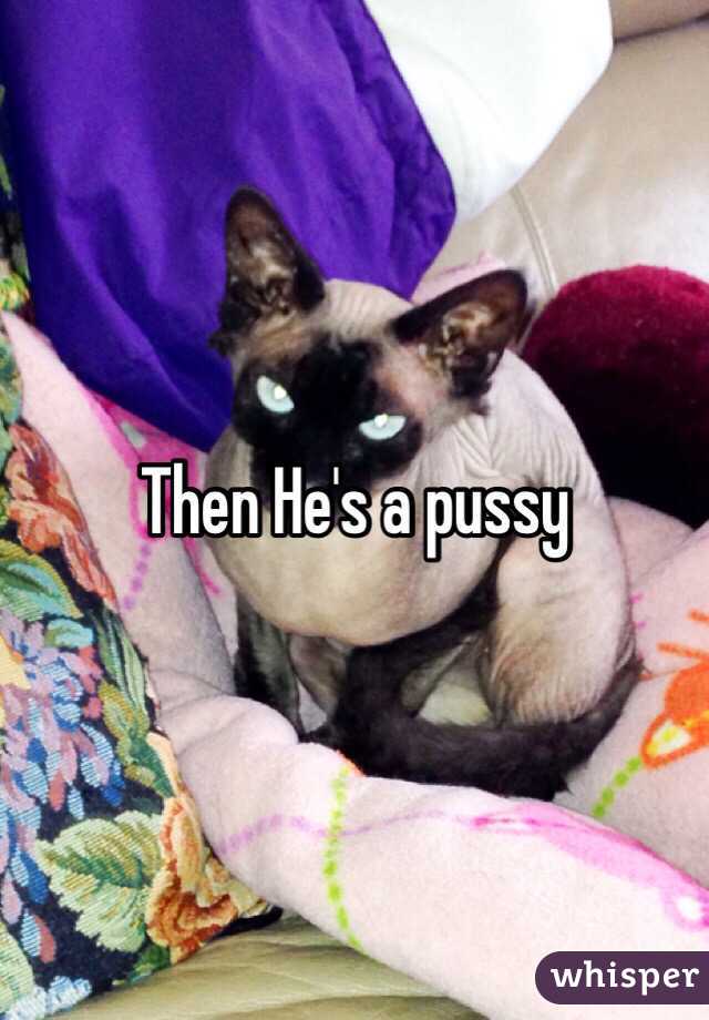 Then He's a pussy