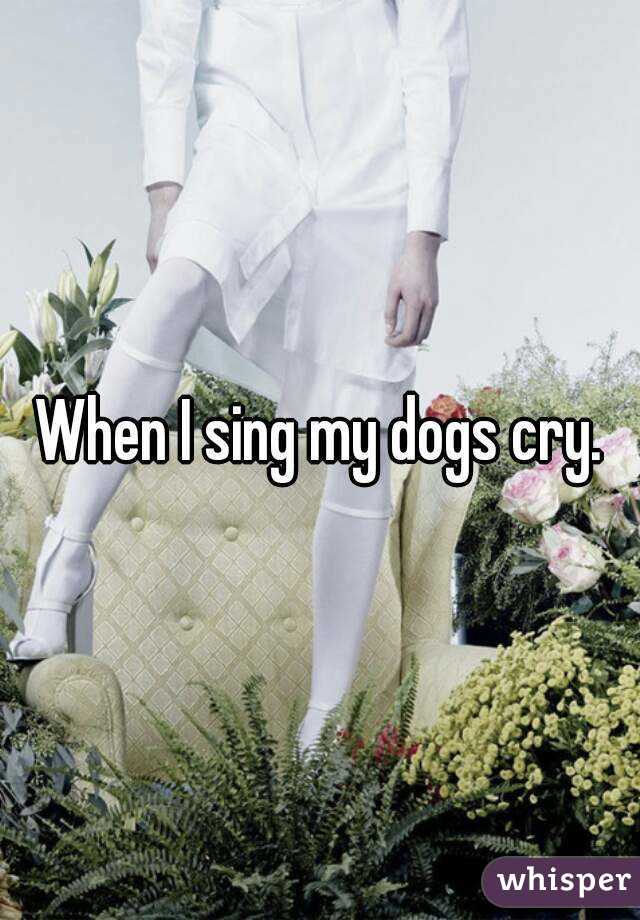 When I sing my dogs cry.
