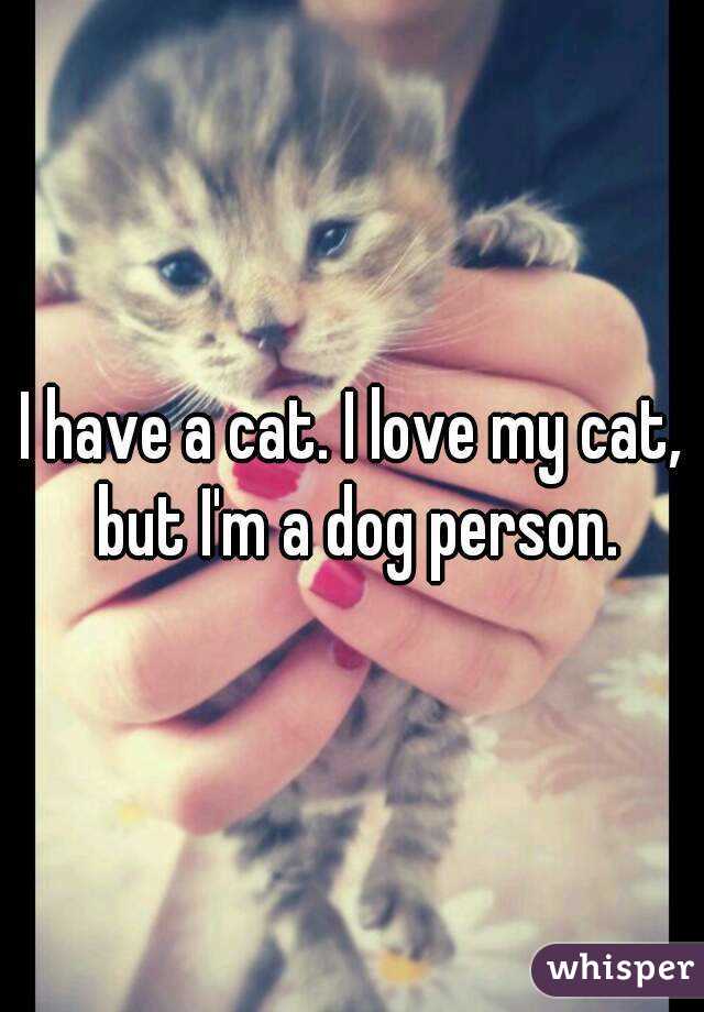 I have a cat. I love my cat, but I'm a dog person.