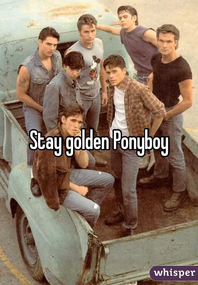 Stay golden Ponyboy