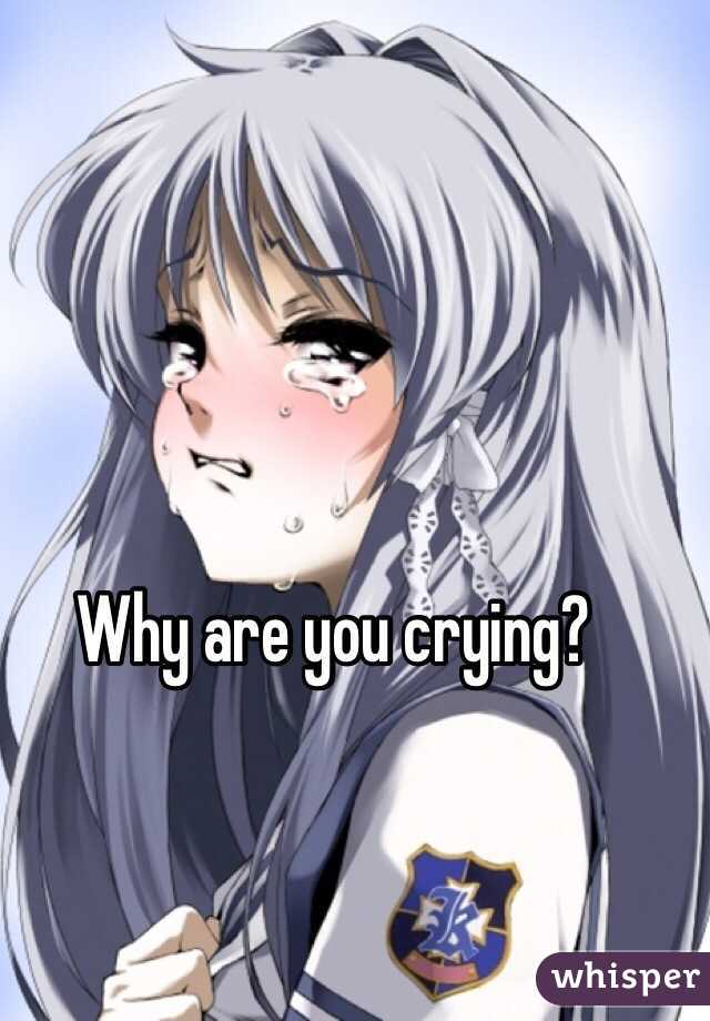 Why are you crying?