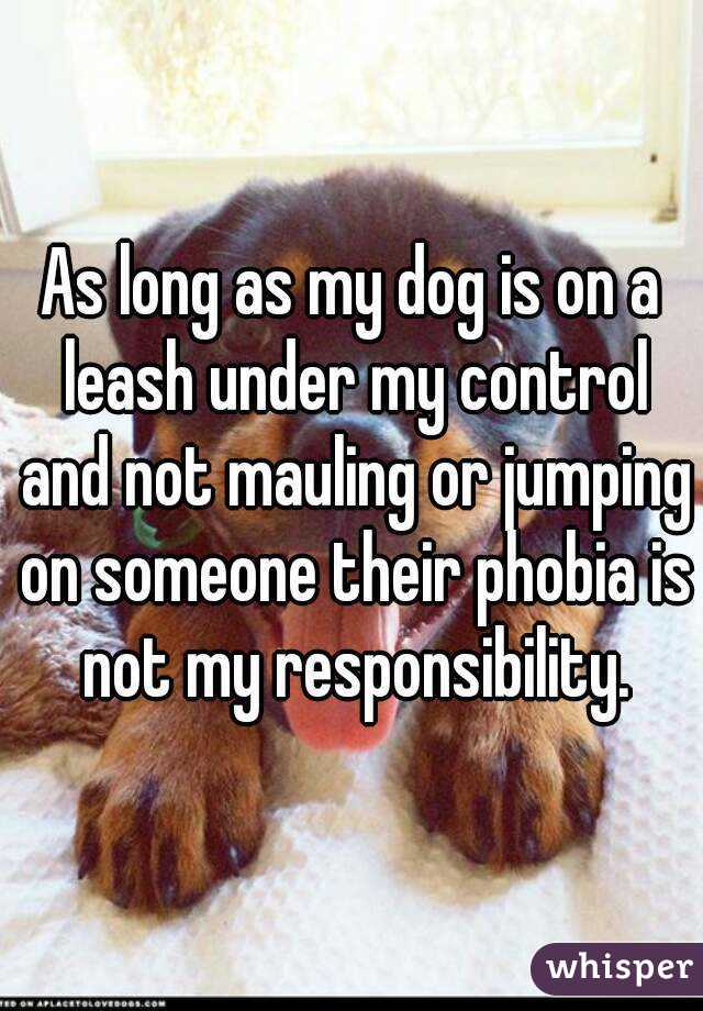 As long as my dog is on a leash under my control and not mauling or jumping on someone their phobia is not my responsibility.