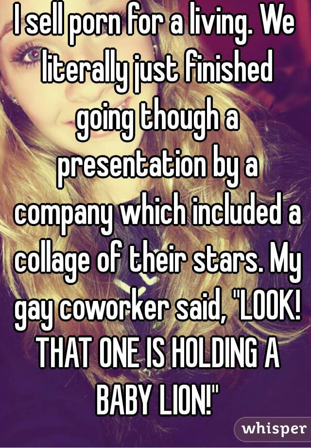 I sell porn for a living. We literally just finished going though a presentation by a company which included a collage of their stars. My gay coworker said, "LOOK! THAT ONE IS HOLDING A BABY LION!"