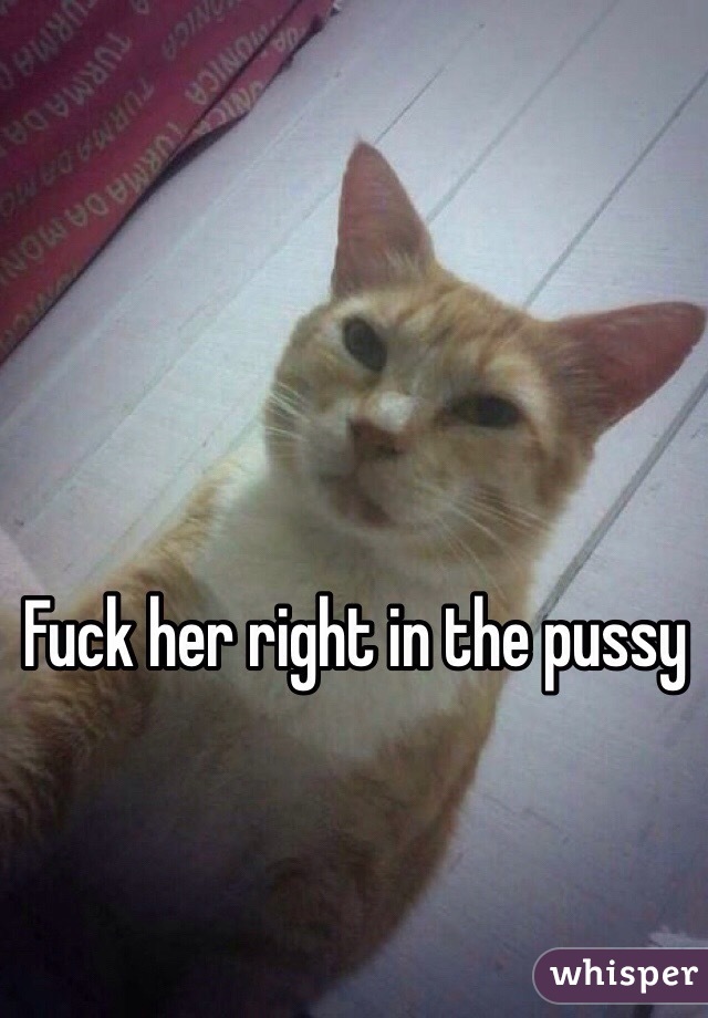 Fuck her right in the pussy