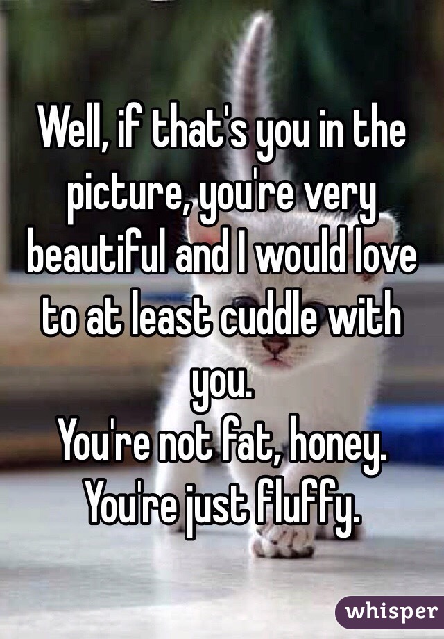 Well, if that's you in the picture, you're very beautiful and I would love to at least cuddle with you. 
You're not fat, honey. You're just fluffy. 