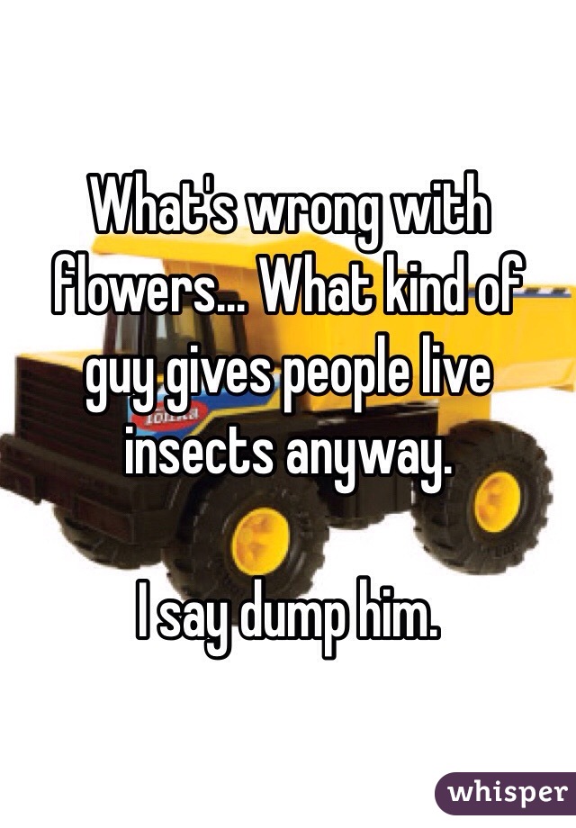 What's wrong with flowers... What kind of guy gives people live insects anyway.

I say dump him. 