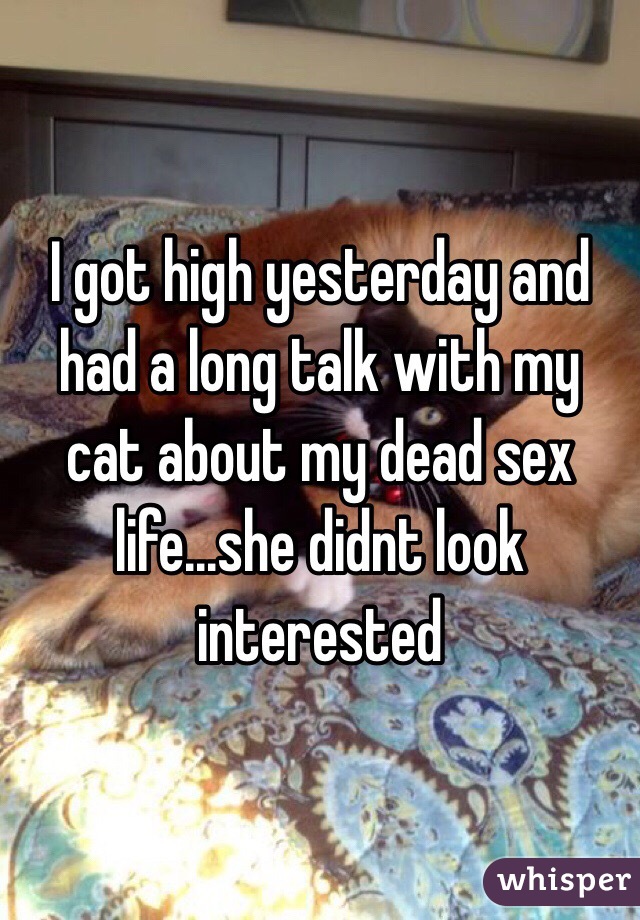 I got high yesterday and had a long talk with my cat about my dead sex life...she didnt look interested