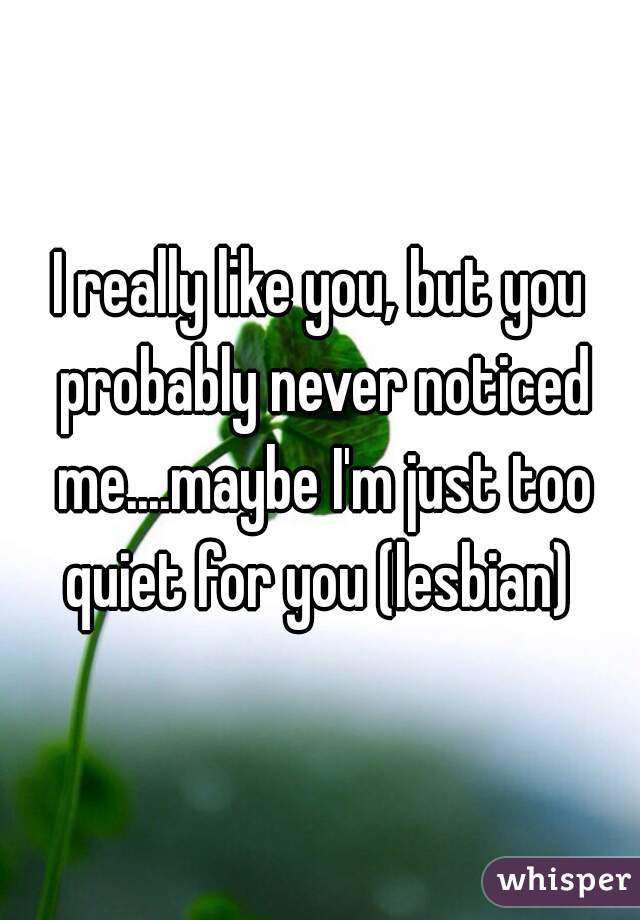 I really like you, but you probably never noticed me....maybe I'm just too quiet for you (lesbian) 