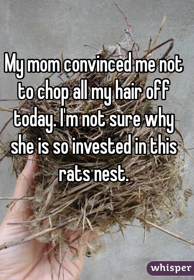 My mom convinced me not to chop all my hair off today. I'm not sure why she is so invested in this rats nest. 