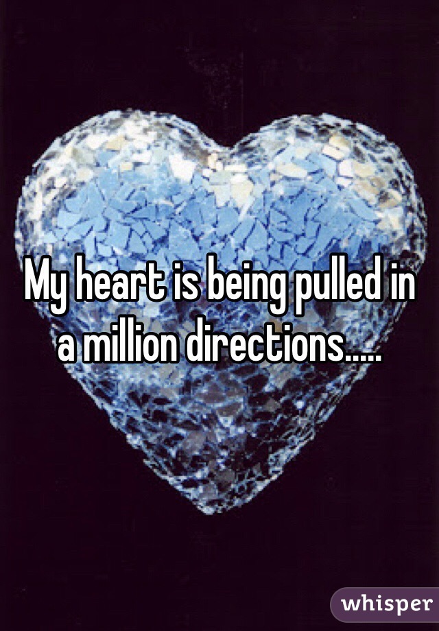 My heart is being pulled in a million directions.....
