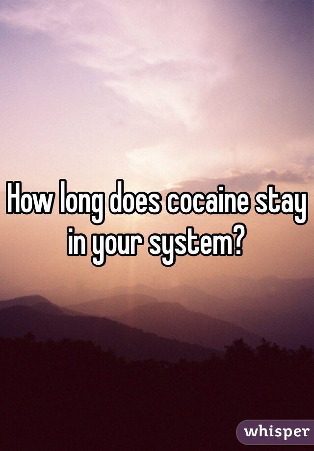 How long does cocaine stay in your system? 