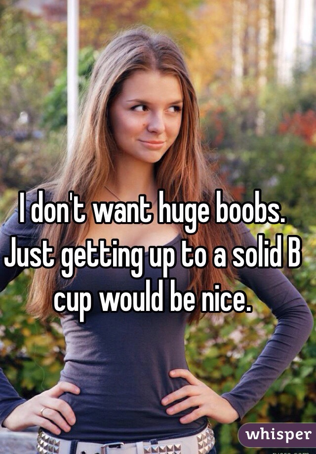 I don't want huge boobs. Just getting up to a solid B cup would be nice. 