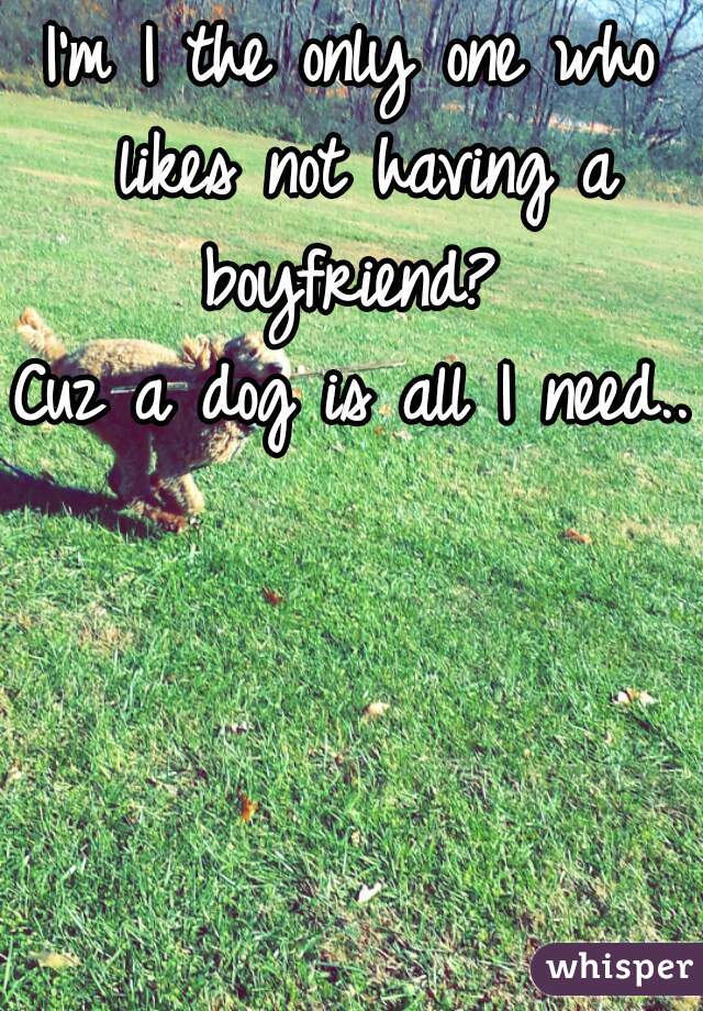 I'm I the only one who likes not having a boyfriend? 
Cuz a dog is all I need.. 