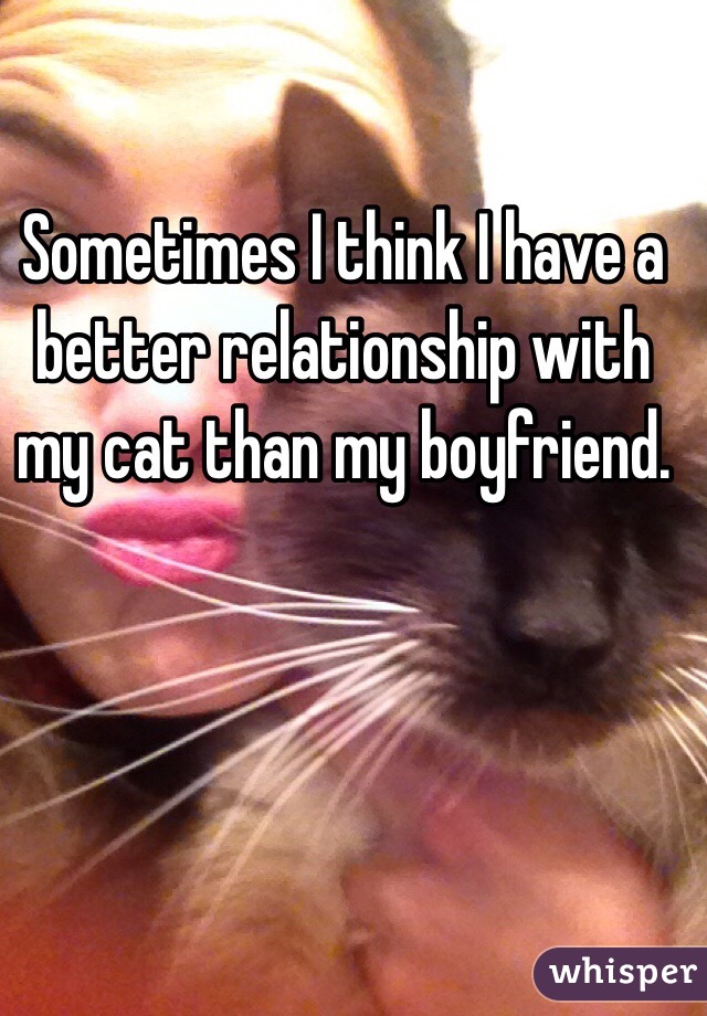 Sometimes I think I have a better relationship with my cat than my boyfriend. 