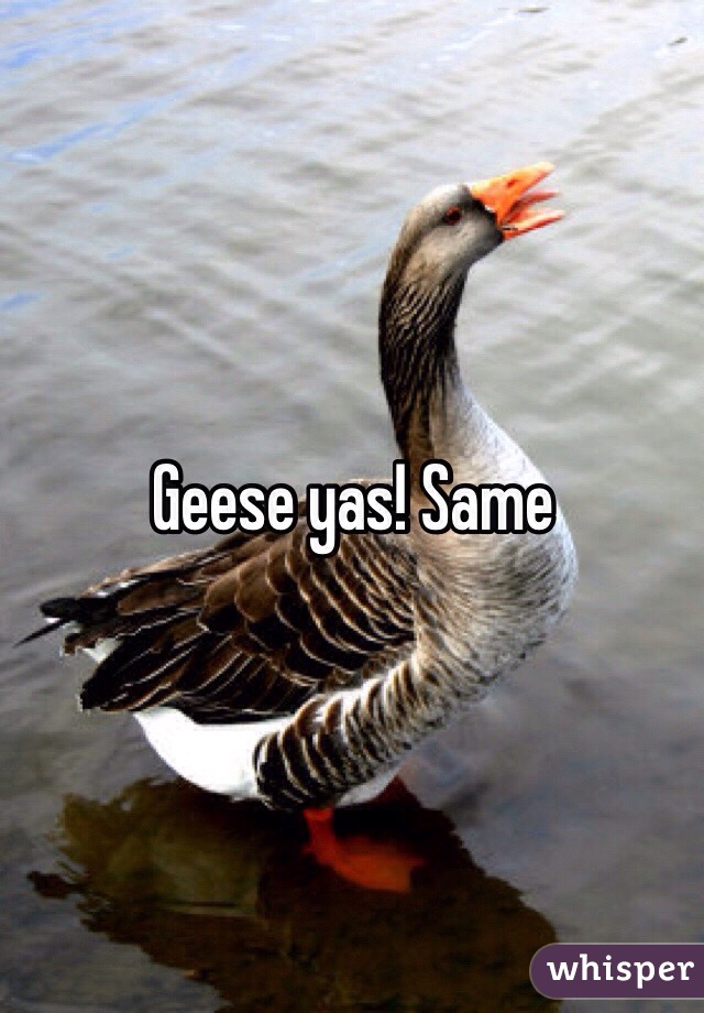 Geese yas! Same