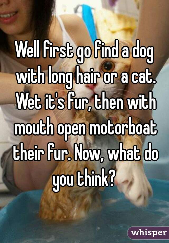 Well first go find a dog with long hair or a cat. Wet it's fur, then with mouth open motorboat their fur. Now, what do you think? 