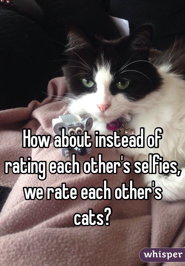 How about instead of rating each other's selfies, we rate each other's cats?