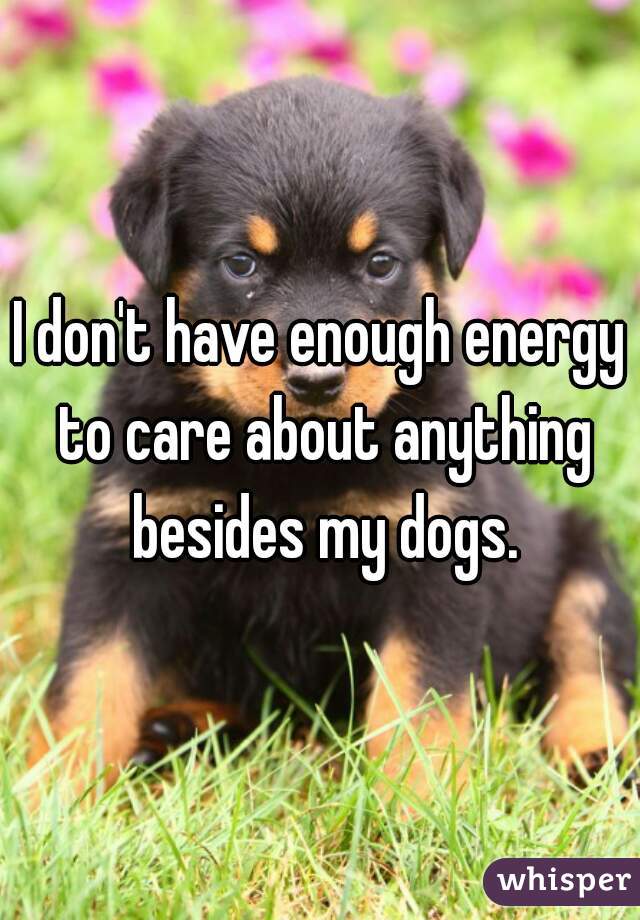 I don't have enough energy to care about anything besides my dogs.