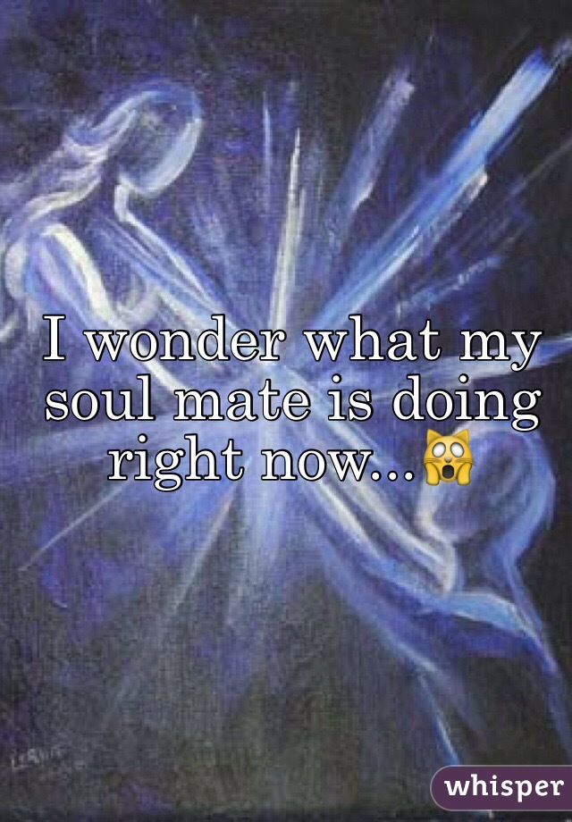 I wonder what my soul mate is doing right now...🙀