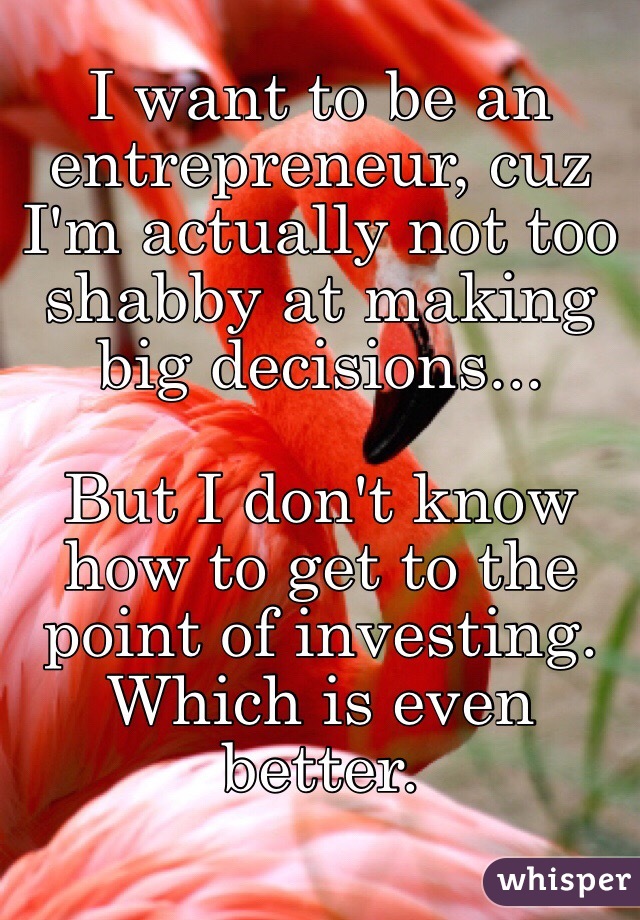 I want to be an entrepreneur, cuz I'm actually not too shabby at making big decisions...

But I don't know how to get to the point of investing. Which is even better. 