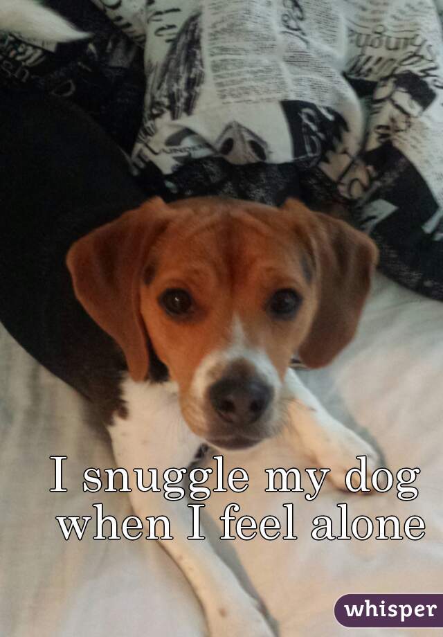 I snuggle my dog when I feel alone