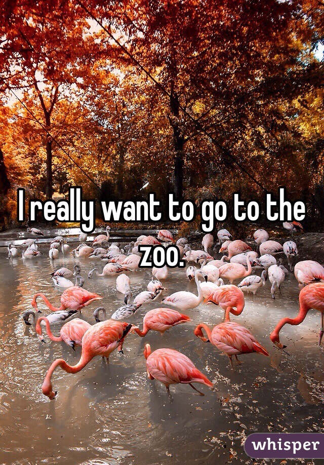 I really want to go to the zoo. 