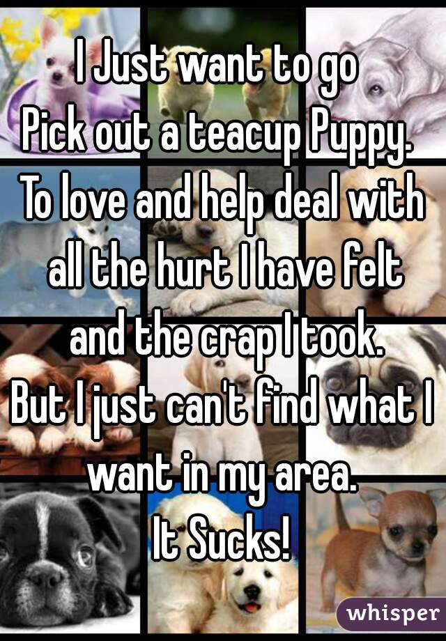 I Just want to go 
Pick out a teacup Puppy. 
To love and help deal with all the hurt I have felt and the crap I took.
But I just can't find what I want in my area. 
It Sucks!