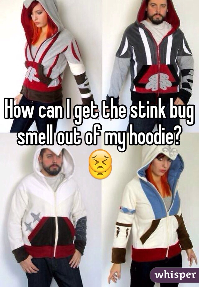 How can I get the stink bug smell out of my hoodie?
😣