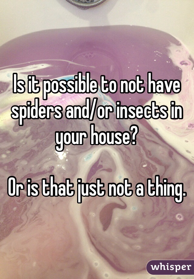 Is it possible to not have spiders and/or insects in your house? 

Or is that just not a thing. 