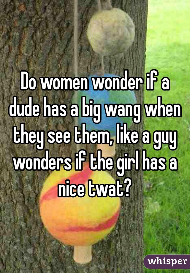 Do women wonder if a dude has a big wang when they see them, like a guy wonders if the girl has a nice twat? 