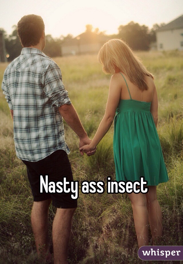 Nasty ass insect