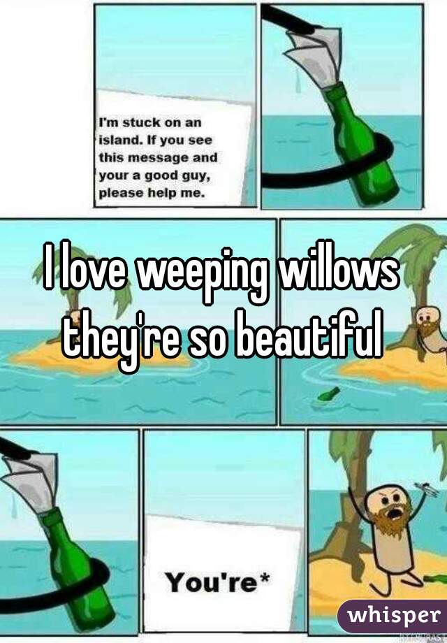 I love weeping willows they're so beautiful 