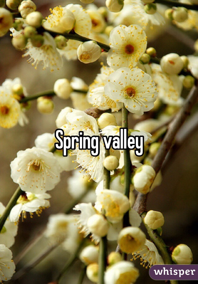 Spring valley 