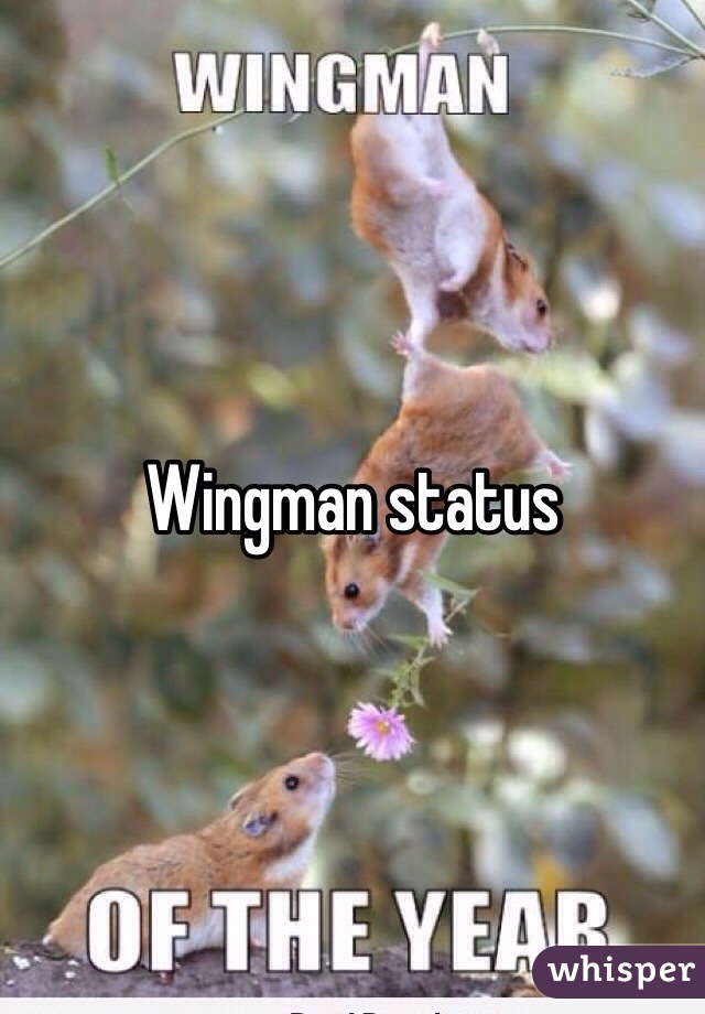 Wingman status