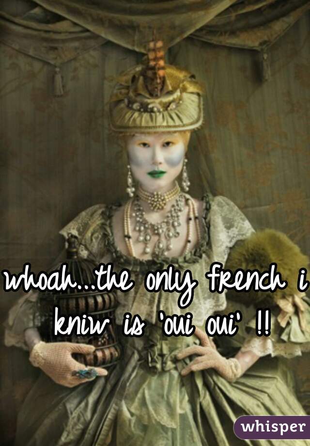whoah...the only french i kniw is 'oui oui' !!