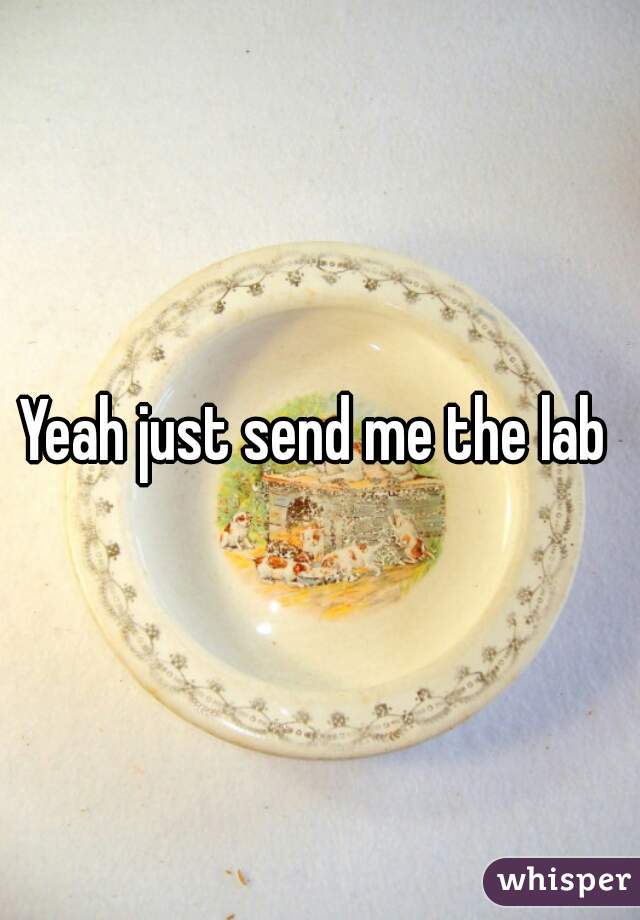 Yeah just send me the lab 