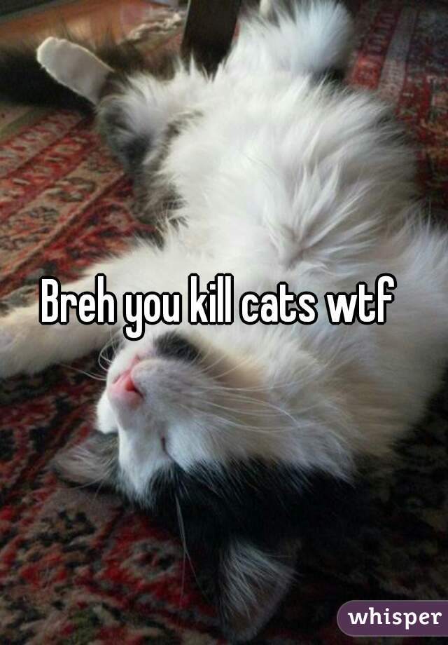 Breh you kill cats wtf 