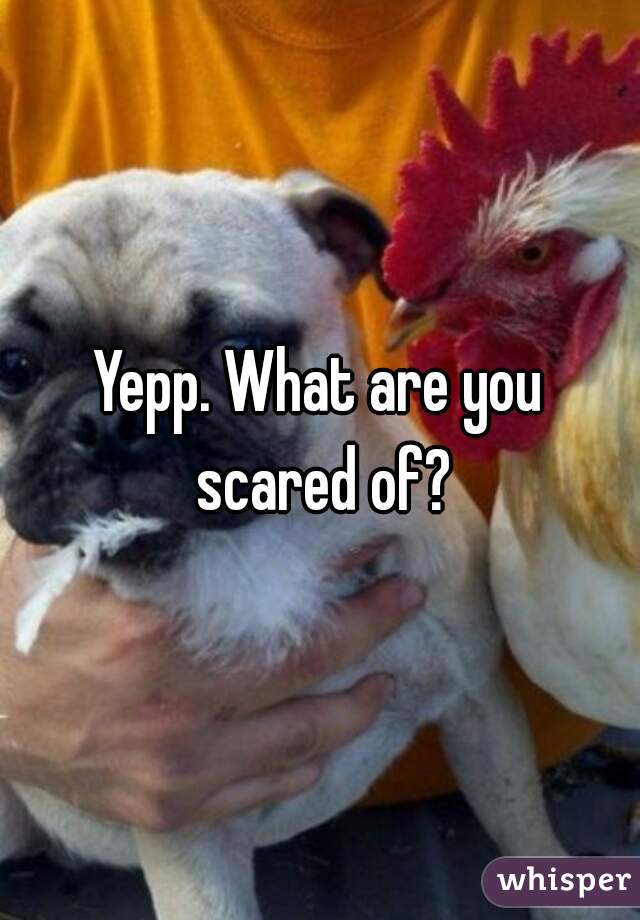 Yepp. What are you scared of?