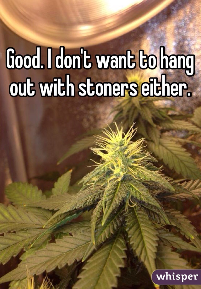 Good. I don't want to hang out with stoners either. 