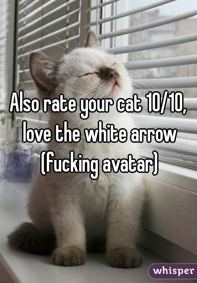 Also rate your cat 10/10, love the white arrow (fucking avatar)
