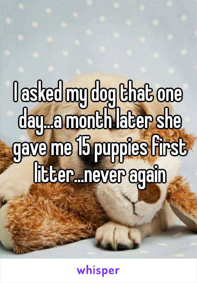 I asked my dog that one day...a month later she gave me 15 puppies first litter...never again
