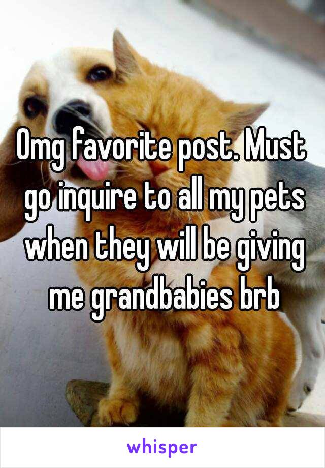 Omg favorite post. Must go inquire to all my pets when they will be giving me grandbabies brb