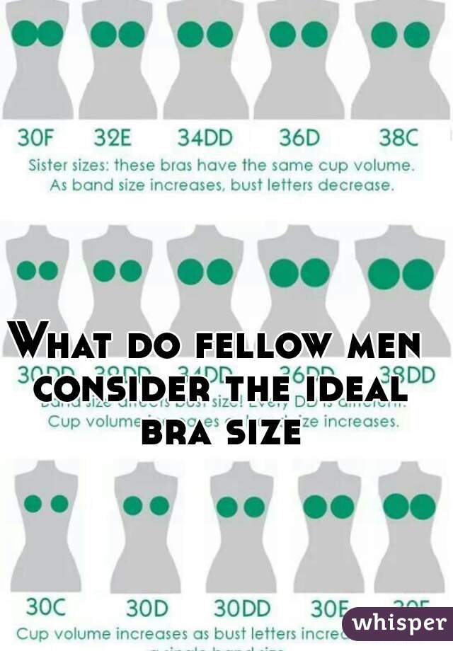 What do fellow men consider the ideal bra size