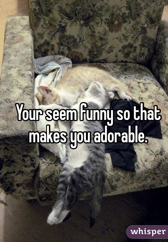 Your seem funny so that makes you adorable. 