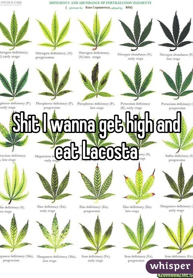 Shit I wanna get high and eat Lacosta 