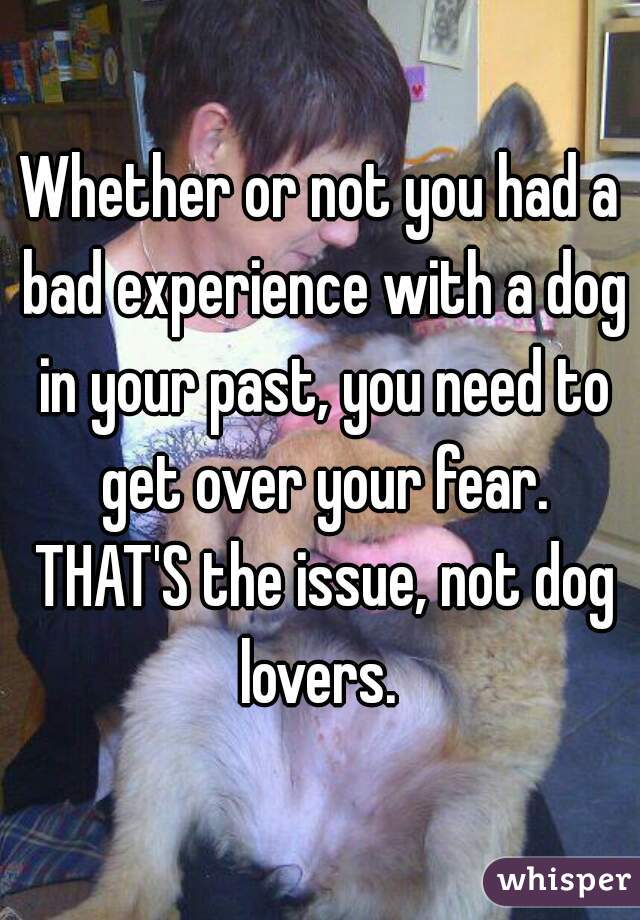 Whether or not you had a bad experience with a dog in your past, you need to get over your fear. THAT'S the issue, not dog lovers. 